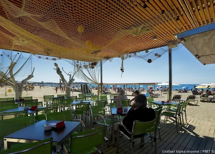Zeus Alexis Ii * Salou
