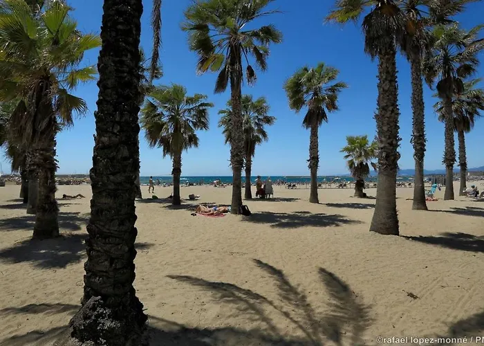 Zeus Alexis Ii * Salou