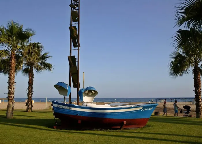 Zeus Alexis Ii Salou