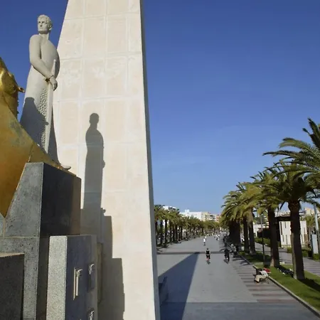 Zeus Alexis Ii * Salou