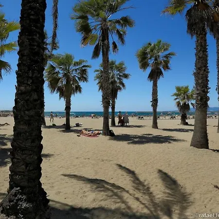 Zeus Alexis Ii * Salou