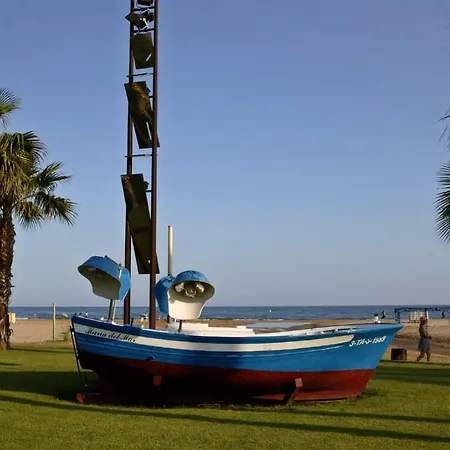 Zeus Alexis Ii Salou