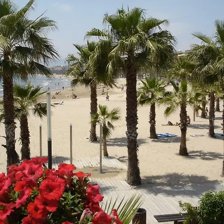 Zeus Alexis Ii Salou